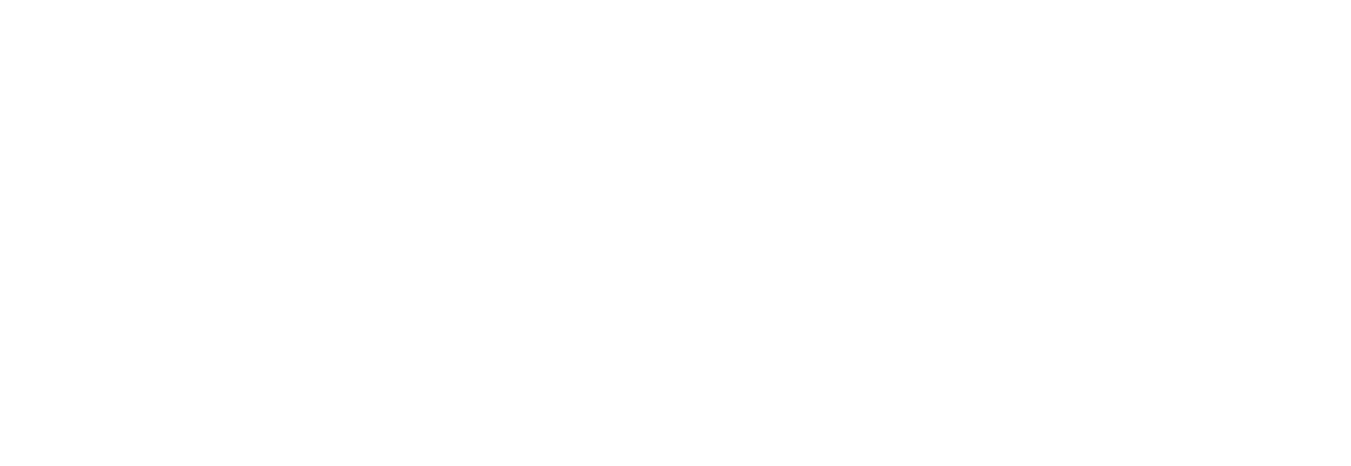 VRL Logistics logo